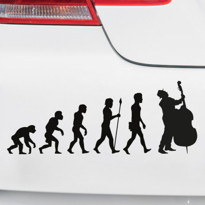Autoaufkleber Evolution Cello