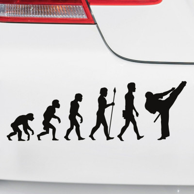 Autoaufkleber Evolution Karate