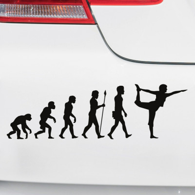 Autoaufkleber Evolution Yoga