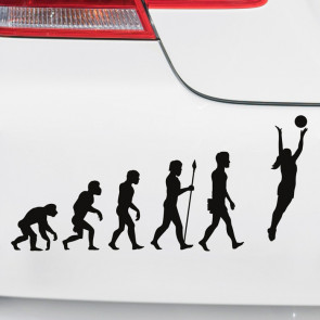 Autoaufkleber Evolution Volleyball