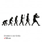 Autoaufkleber Evolution Boxen