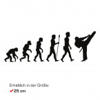 Autoaufkleber Evolution Karate