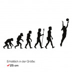 Autoaufkleber Evolution Volleyball